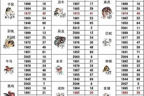 2007年属什么|2007年出生的属什么,2007年是什么生肖